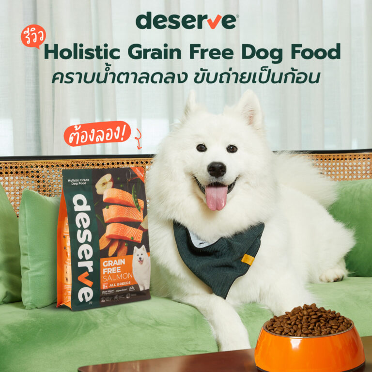 อยากลดคราบน้ำตาของน้องหมาน้องแมว ต้องลอง Deserve อาหารเม็ดสุนัขและแมว
