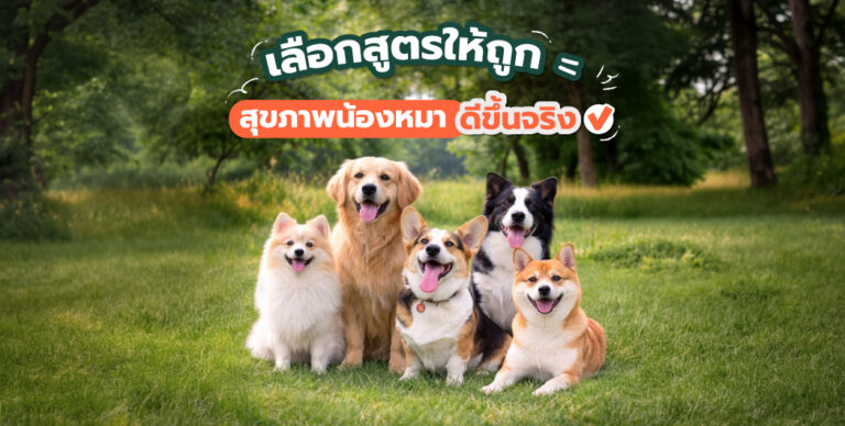 เลือกอาหารเม็ดให้เหมาะกับน้องหมาของคุณ เลือกให้ถูก สุขภาพดีเห็นผลจริง