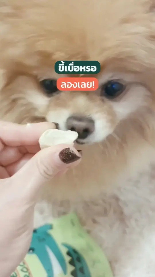 ทำไมน้องๆ ชอบเนื้อจระเข้