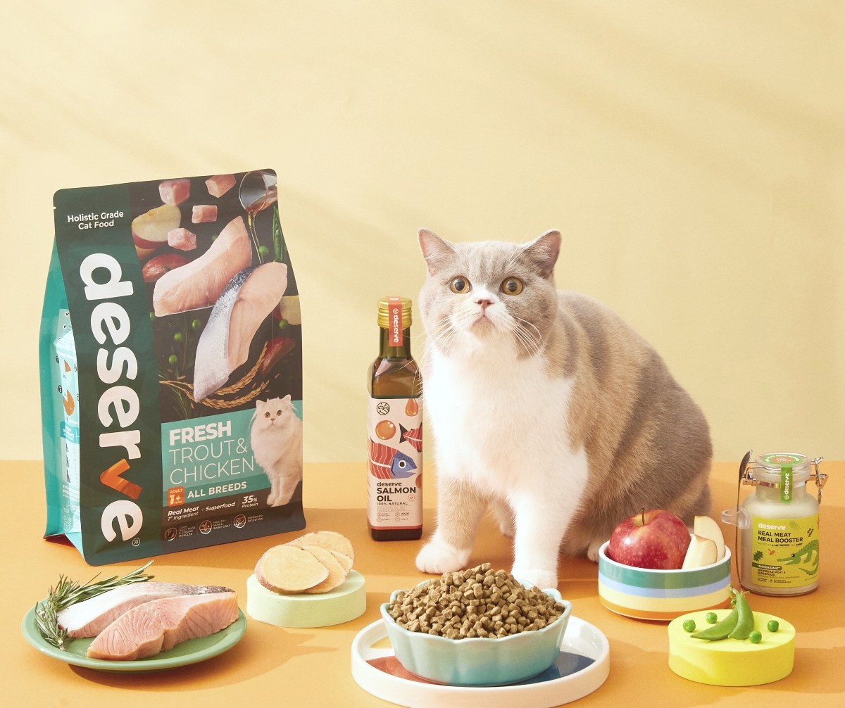 รีวิวอาหารแมวโฮลิสติก Deserve - น้องแมวกับอาหารเม็ด Deserve Fresh Trout & Chicken