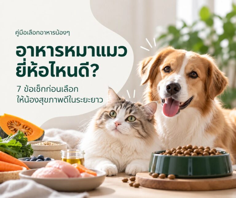 อาหารหมาแมว ยี่ห้อไหนดี 7 ข้อเช็กก่อนเลือก - น้องหมาและน้องแมวนั่งข้างชามอาหารเม็ดและวัตถุดิบธรรมชาติ