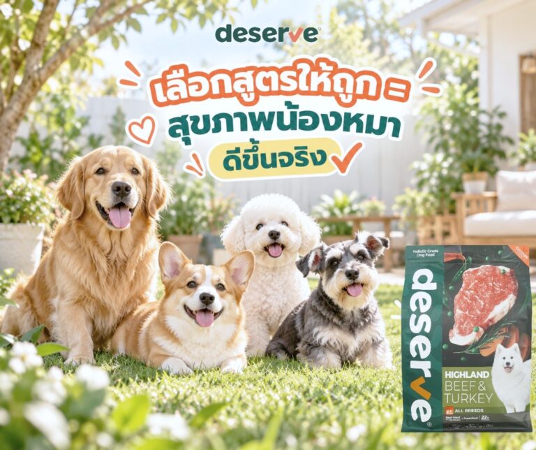 เลือกสูตรอาหารเม็ดให้ถูก สุขภาพน้องหมาดีขึ้น - น้องหมาหลายสายพันธุ์ในสวนกับอาหารเม็ดสุนัข Deserve Highland Beef & Turkey