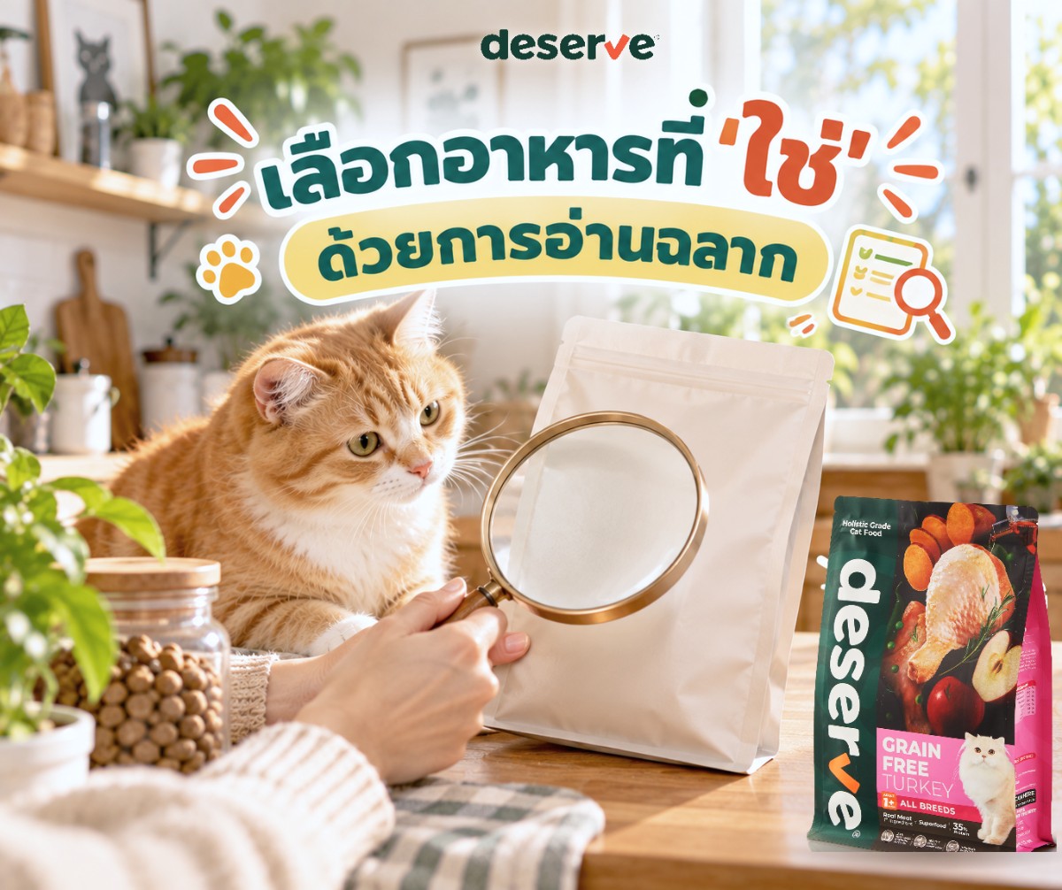 เลือกอาหารที่ใช่ด้วยการอ่านฉลาก - น้องแมวส้มดูเจ้าของส่องฉลากด้วยแว่นขยาย ข้างอาหารเม็ดแมว Deserve Grain Free Turkey