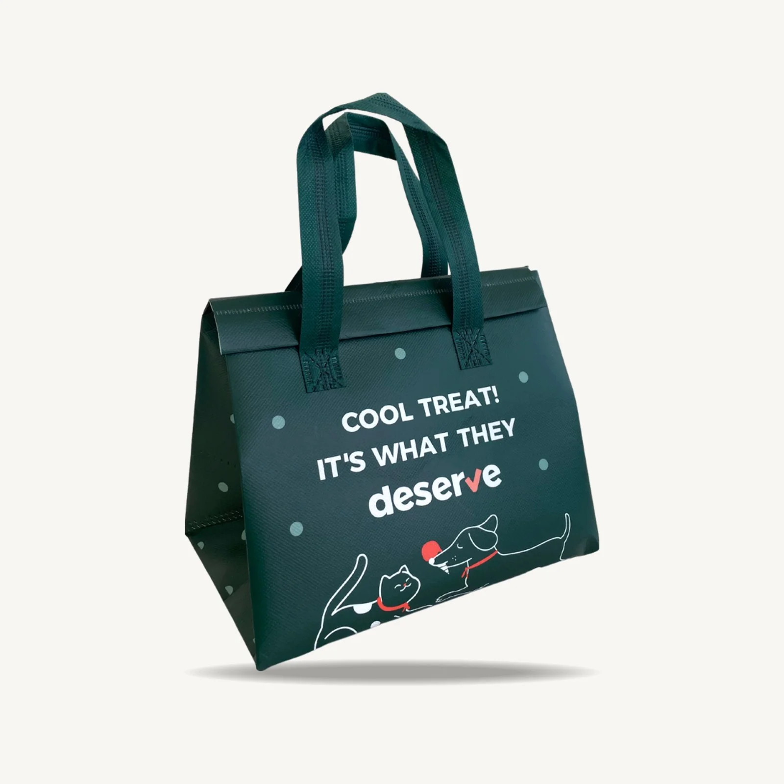 ถุงเก็บความเย็นสำหรับส่งไอศกรีม Deserve