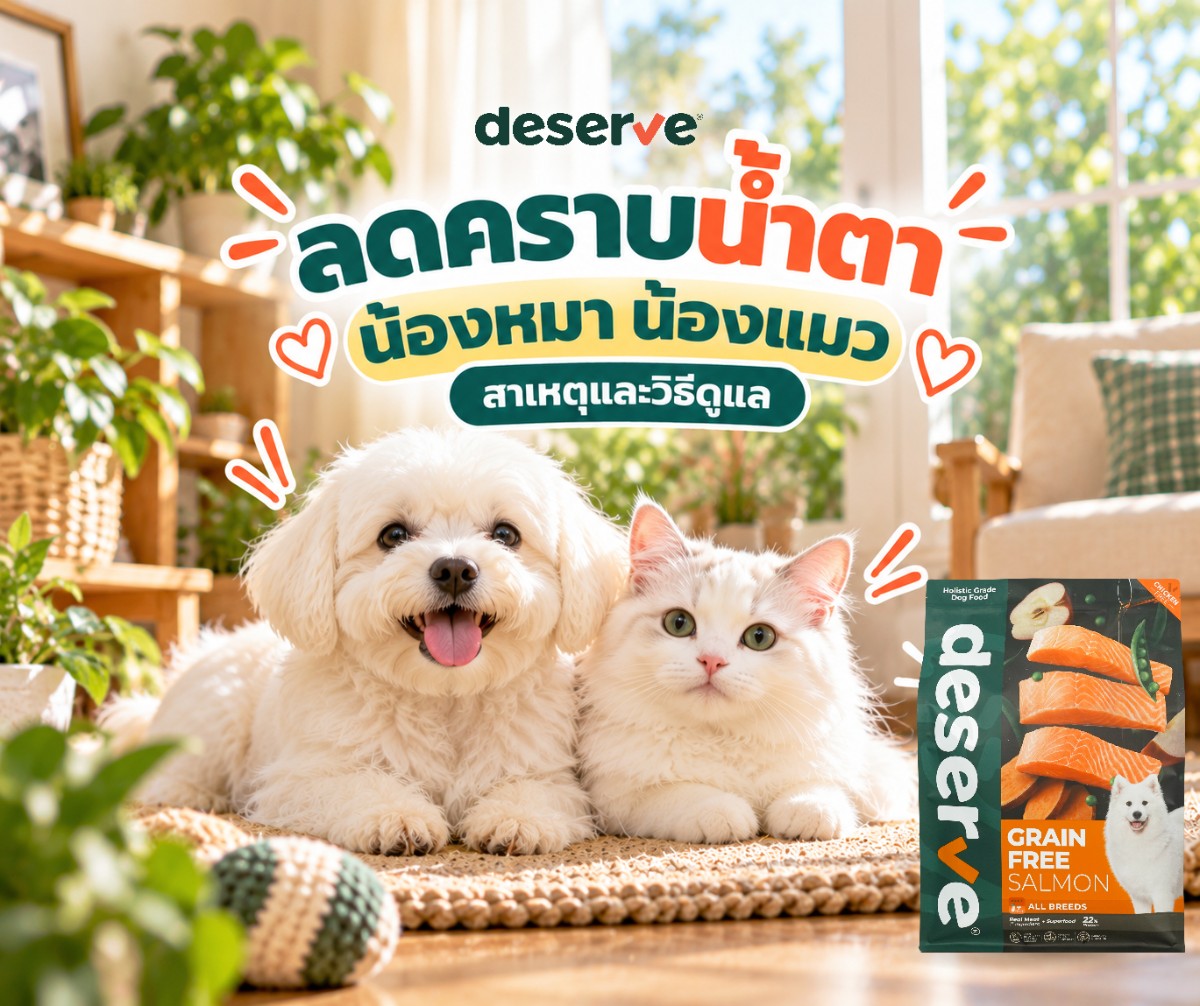 ลดคราบน้ำตาน้องหมาน้องแมว สาเหตุและวิธีดูแล - น้องหมาขาวกับน้องแมวขาว และอาหารเม็ดสุนัข Deserve Grain Free Salmon