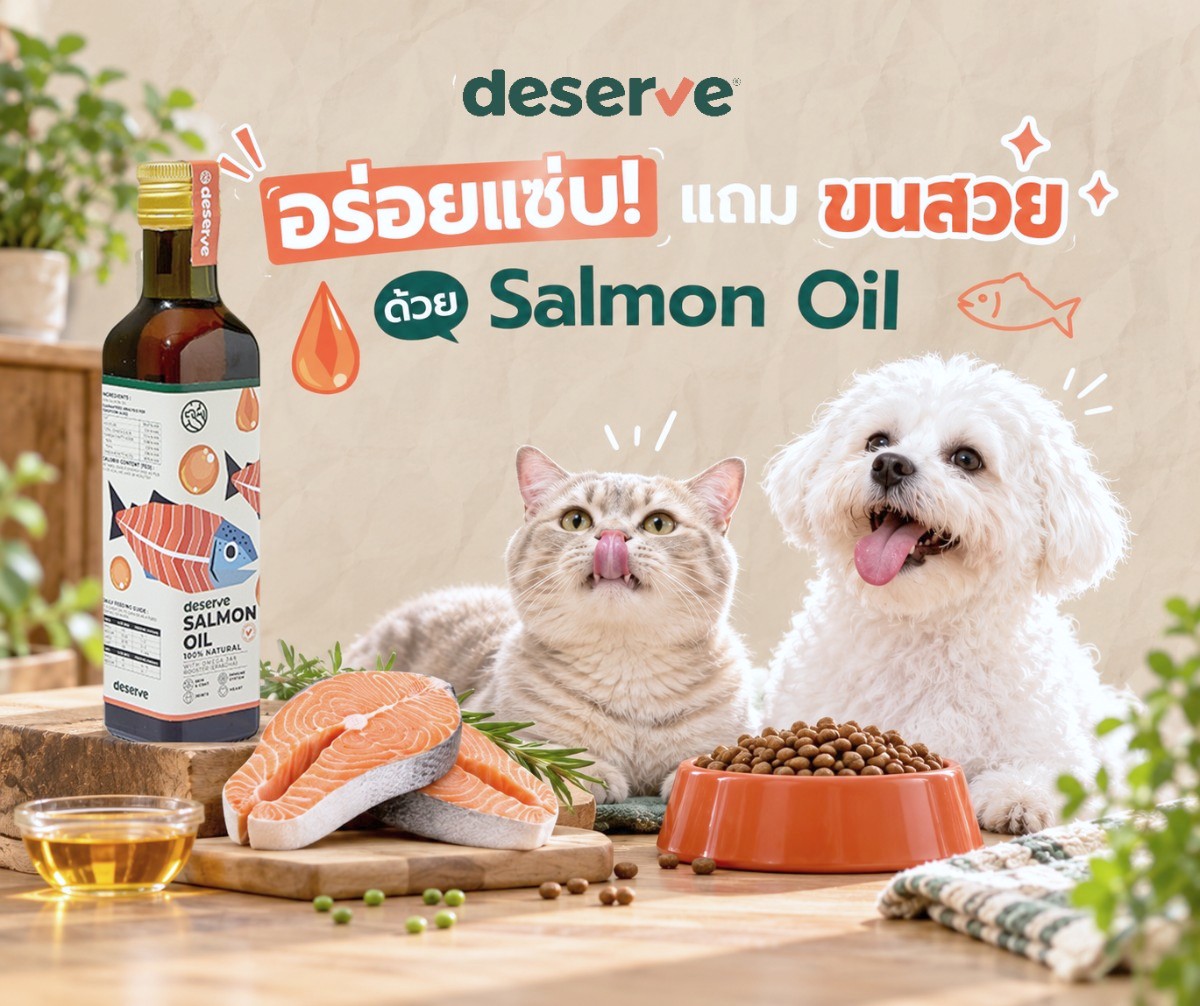 Deserve Salmon Oil น้ำมันปลาแซลมอน 100% ช่วยให้ขนน้องหมาน้องแมวเงางาม