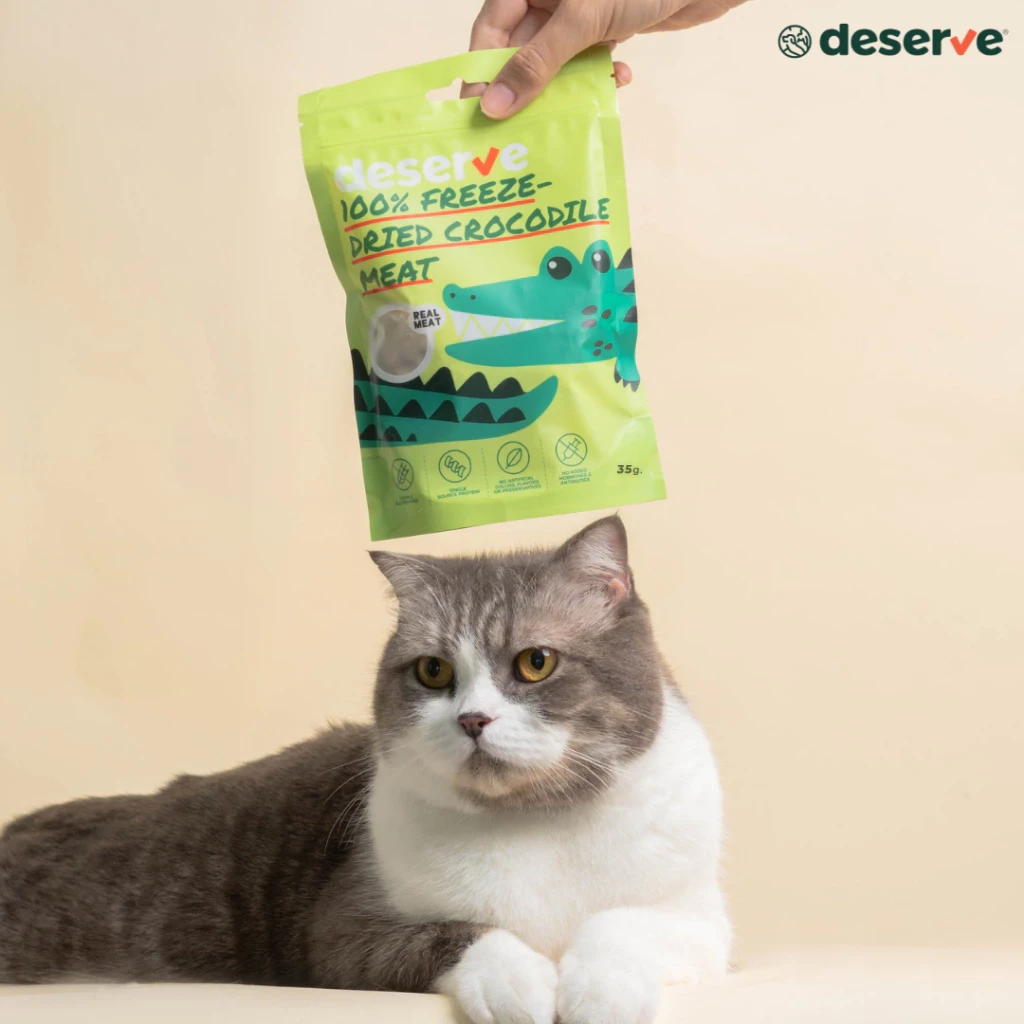 A cat sitting next to a bag of Deserve freeze-dried crocodile meat
